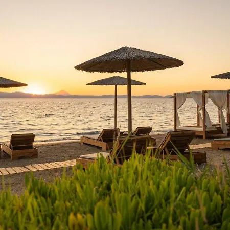 Holiday Home Iliachtis Paliouri